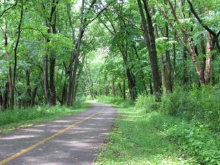 the North Shore Trail