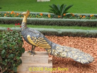 Peacock statue near the Shrine of the Bb