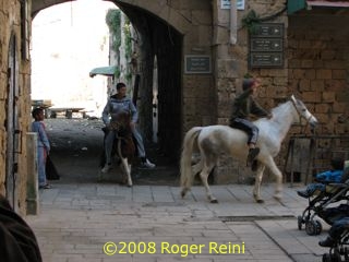 Pony rides in the street