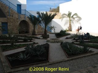 Garden in the courtyard